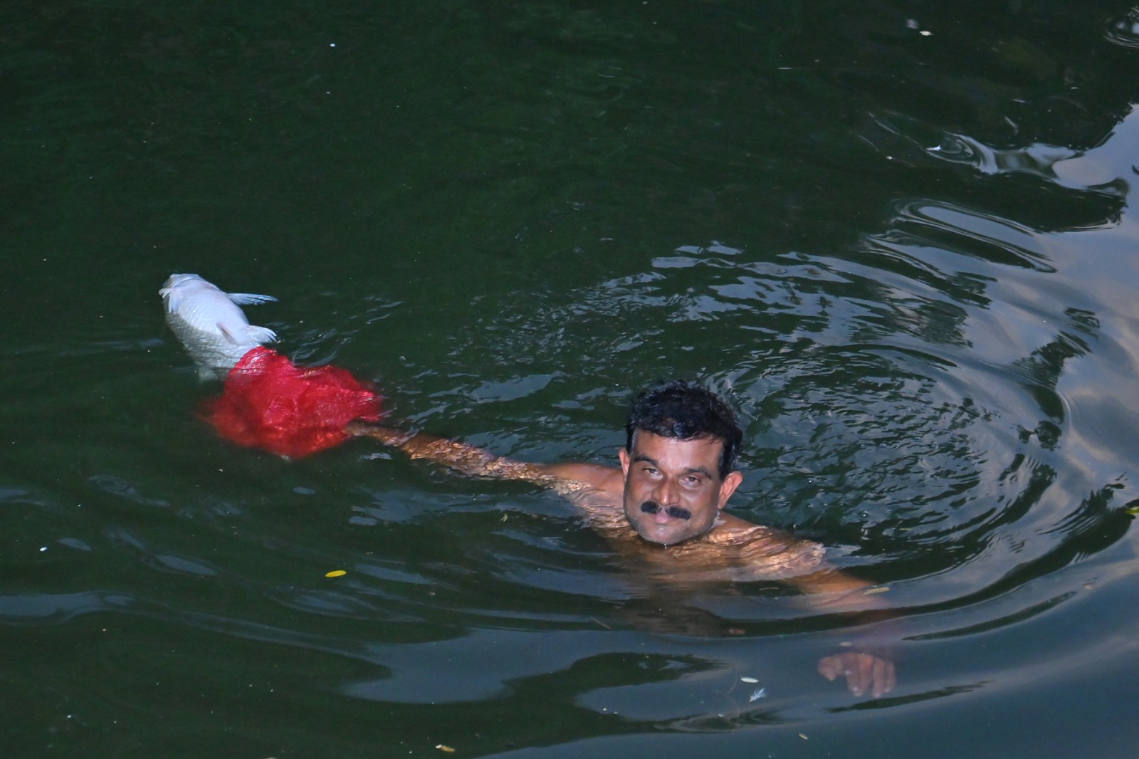 അന്തിക്കാട്ടുകുളത്തിൽ മീനുകൾ ചത്തു പൊന്തുന്നു